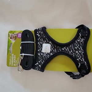 Cat Harness and Leash